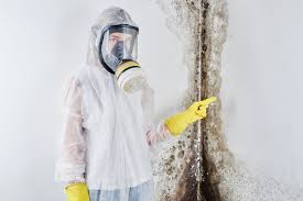 Best Environmental Consulting for Mold Prevention in Una, WA